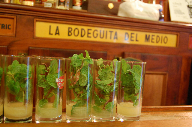 Dreaming in Cuban: The Story of Mojito
