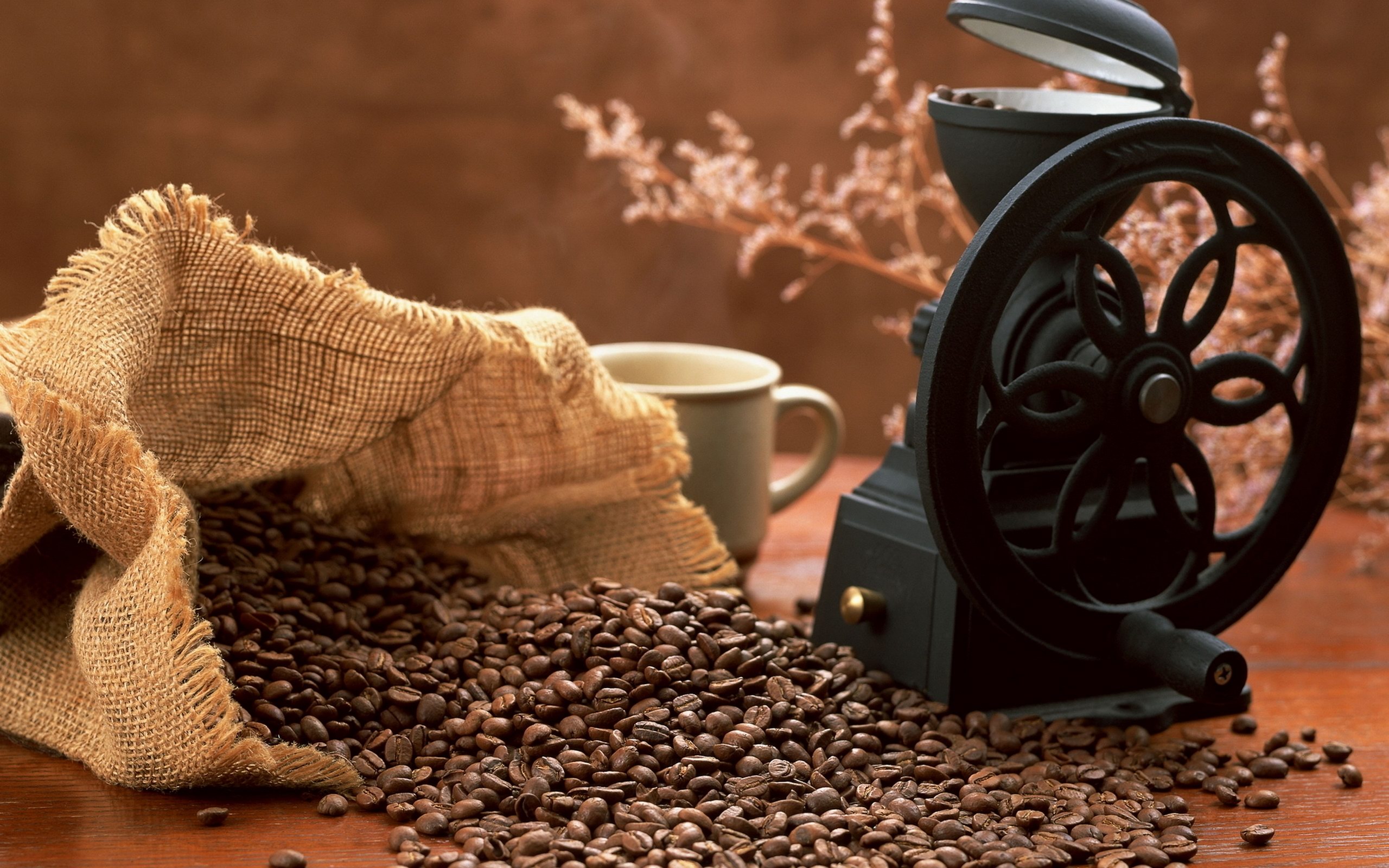 12 Things You Didn’t Know about Coffee