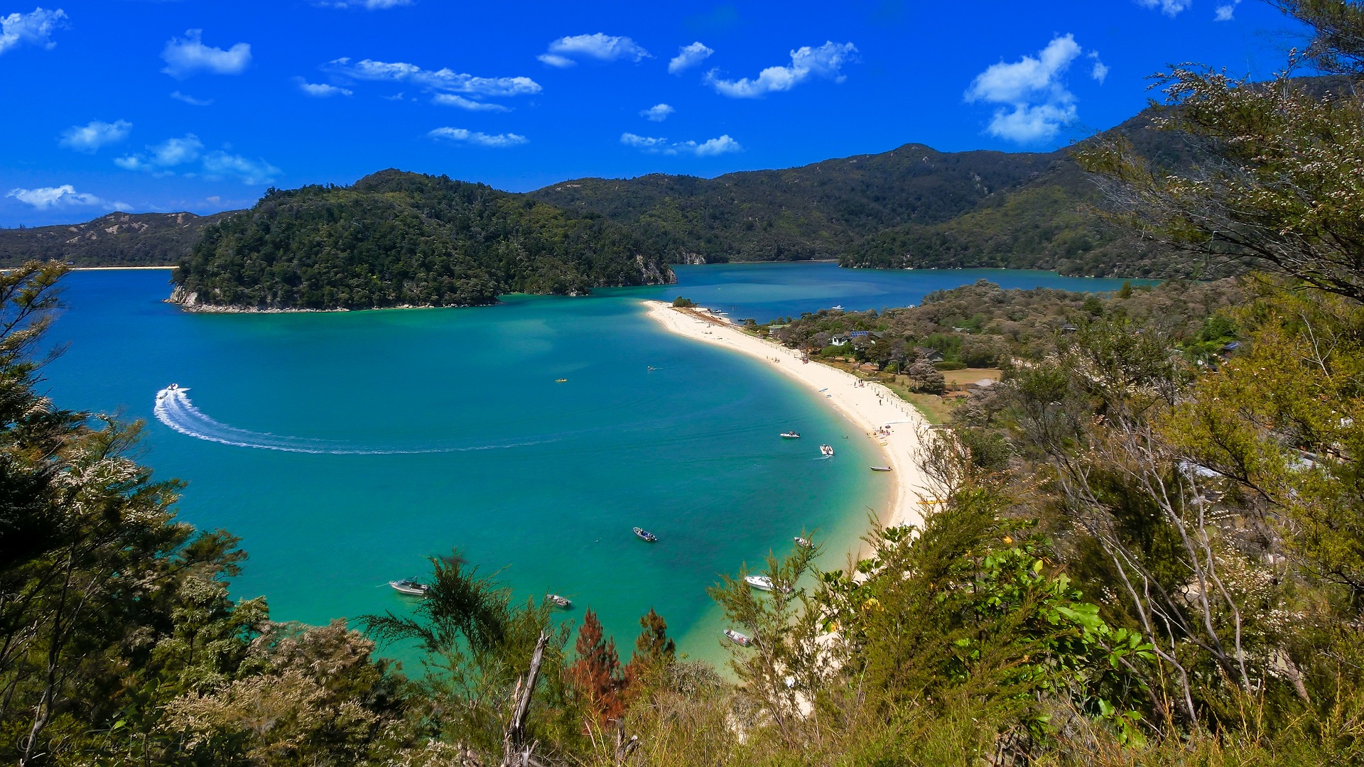 Unforgettable Beaches to Visit on New Zealand’s North Island