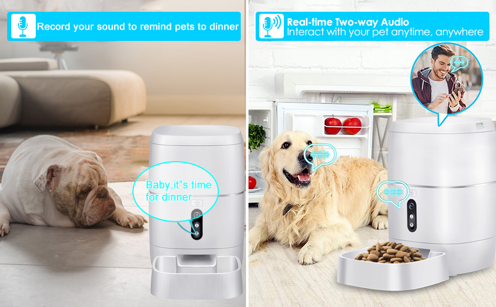 automatic dog feeder