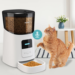 pet feeder for cats