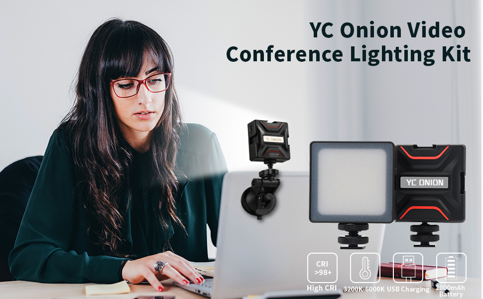 Video conference light