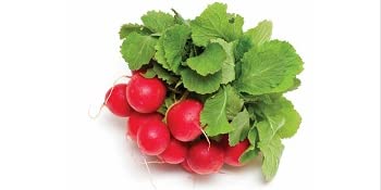 radishes healthy eating diet cookbook anthony william medical medium life-changing foods