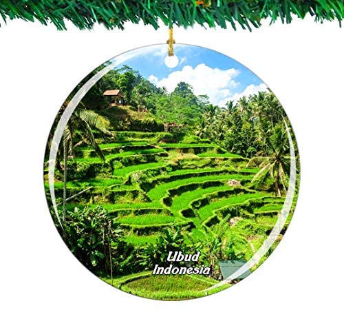 Weekino Indonesia Tegalalang Rice Terrace Ubud Bali Christmas Ornament City Travel Souvenir Collection Double Sided Porcelain 2.85 Inch Hanging Tree Decoration