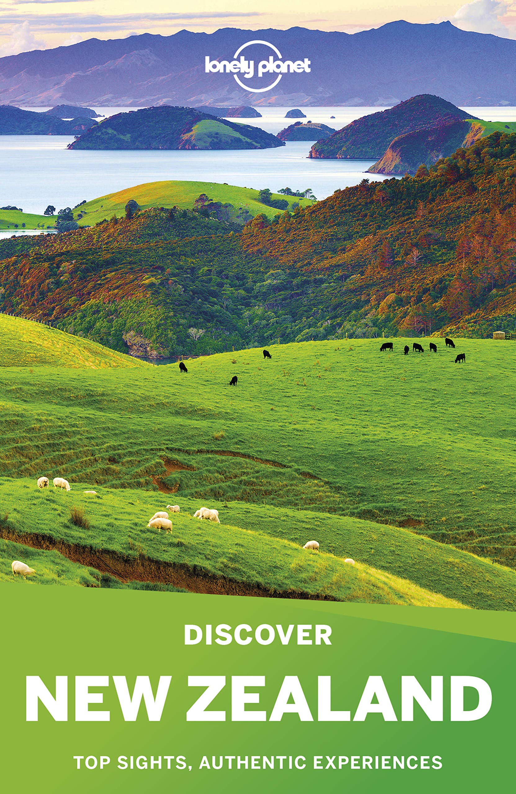 Lonely Planet Discover New Zealand (Travel Guide)