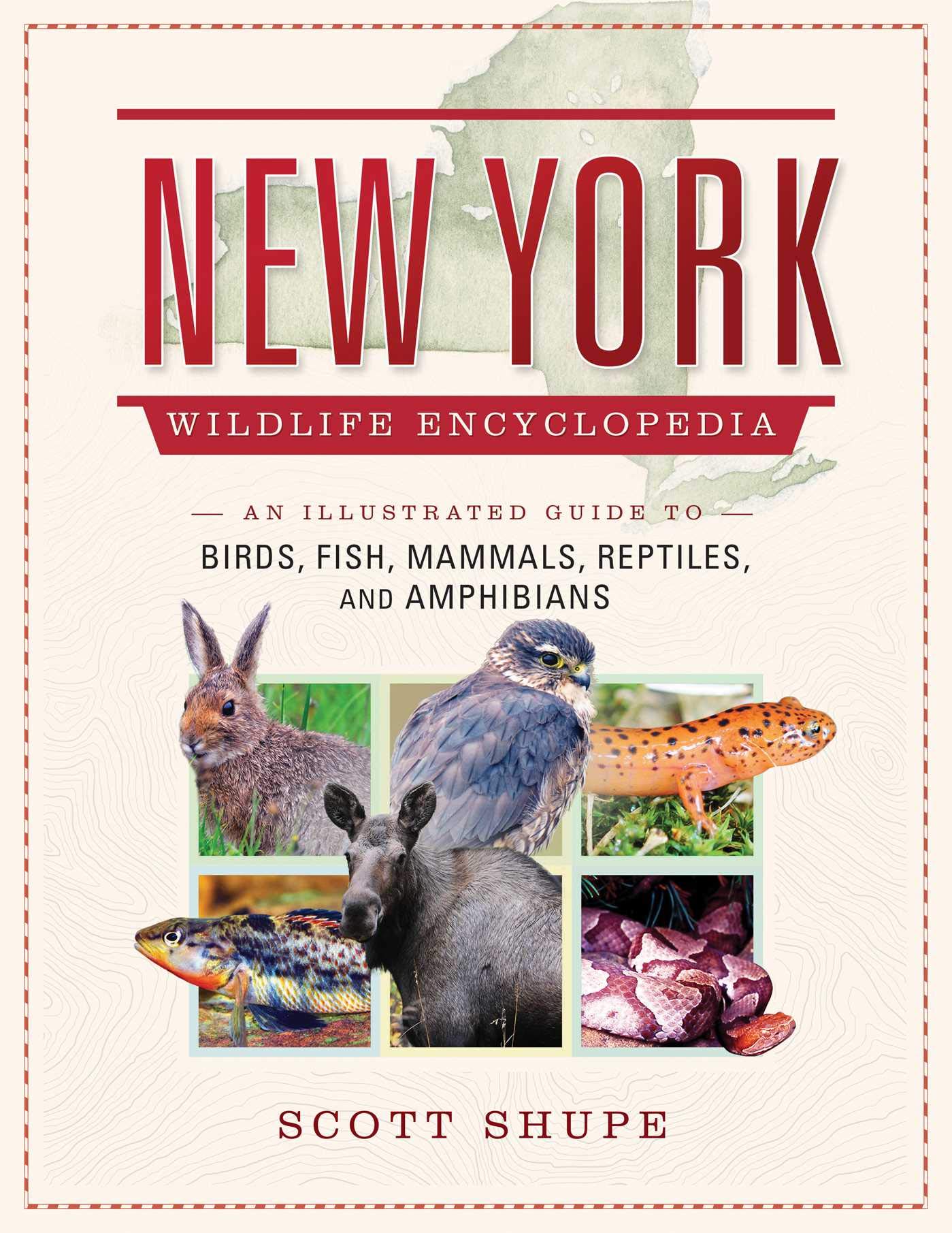 New York Wildlife Encyclopedia: An Illustrated Guide to Birds, Fish, Mammals, Reptiles, and Amphibians