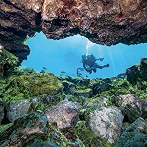 scuba diving in the springs