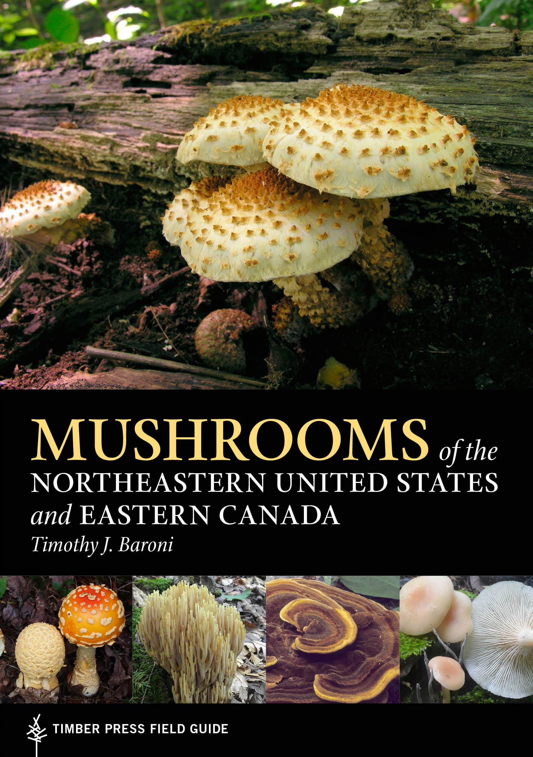 Mushrooms of the Northeastern United States and Eastern Canada (A Timber Press Field Guide)